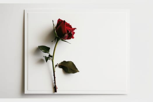 A minimalist valentine's day card showcasing a single red rose on a white background, highlighted by subtle gold accents along the edges. this timeless design exudes elegance and sophistication, ideal for conveying love.