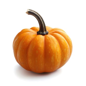 A small orange pumpkin isolated on a white background. The pumpkin is ripe and fresh, with a smooth, round shape and a green stem.
