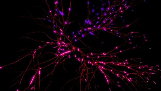 Neurons and neural connections, concept of science and medicine. Motion. Visualization og neuronal activity in the brain, neurogenesis, neurotransmitters, electricity in the brain, synapses