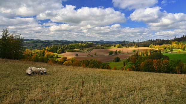 Beautiful autumn landscape with colorful nature in the Czech Republic in autumn time.