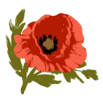 Hand drawn red orange poppy flower with green leaves on white background. Botanical bold illustration in artistic style, vintage retro garden print, flora petals blooming plant, contemporary design