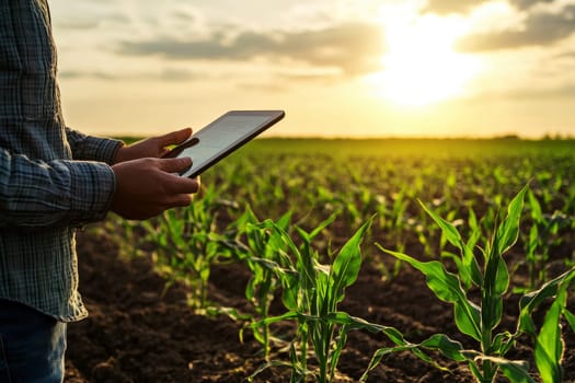 Agriculture Technology Farmer Using Tablet for Data Analysis and Monitoring Maize Seedlings in Field with Modern Tech Graphics, little sun light flare --ar 3:2 --v 6.1 Job ID: 0e665b5c-1b58-4cd3-8cce-a2e6eb06b114