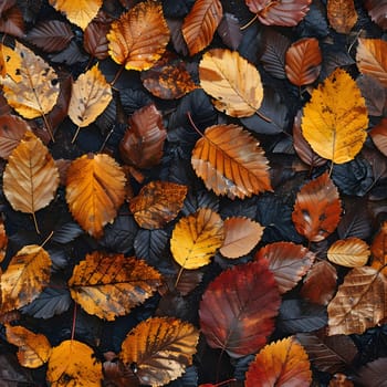 Close up of autumn leaves on the forest floor, showing a variety of colors and textures.
