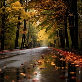 A road lined with trees in a forest, a beautiful autumn foliage.