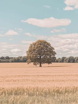 Majestic oak tree standing alone in a vast golden wheat field under a serene blue sky with wispy clouds, epitomizing rural tranquility.