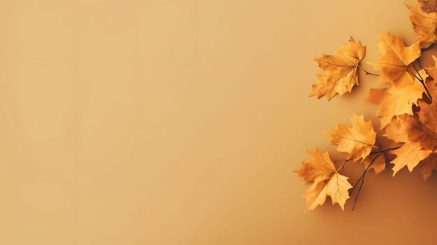 Golden autumn leaves on a beige background, creating a simple and elegant still life.