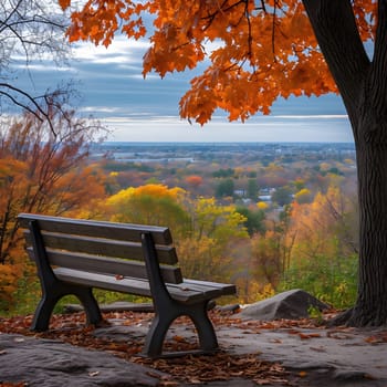 A wooden bench sits under the shade of a tree with colorful autumn leaves, overlooking a city with a beautiful scenic vista