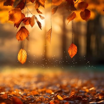 Close-up of leaves falling in autumn, displaying the rich colors and soft light of the season.