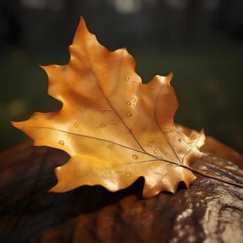 A single golden leaf with dew drops on a wood surface. The leaf is in focus, and the background is blurred.