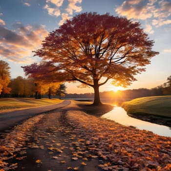 A large tree stands tall in the middle of a field, its branches reaching towards the sky. The setting sun casts a warm glow on the leaves, which are a vibrant mix of orange, yellow, and red. A small creek flows through the field, reflecting the colors of the sky and the trees.