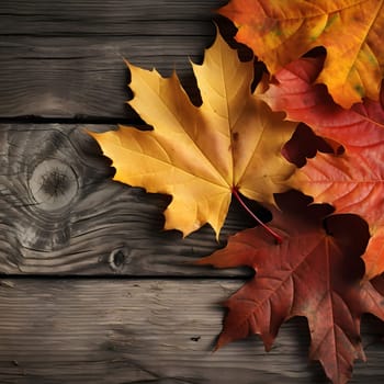 A close-up image of three fallen autumn leaves on a wooden background. The leaves are vibrant orange, yellow, and red, providing a beautiful contrast against the brown wood.