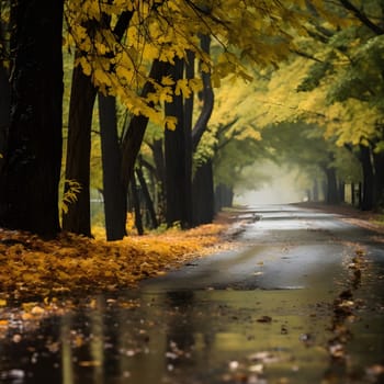 A winding road through a forest of golden trees, the leaves are falling and the atmosphere is serene and tranquil.
