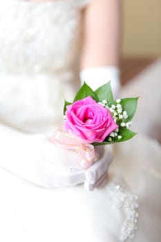 Amazing and beautiful flowers showcasing vivid colors and natural beauty. Perfect for floral arrangements and botanical studies and multimedia content creation