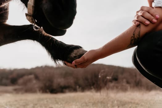 Cute happy young woman with horse. Rider female drives her horse in nature on evening sunset light background. Concept of outdoor riding, sports and recreation.