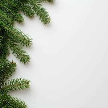Fresh green pine branches create festive atmosphere for holidays.