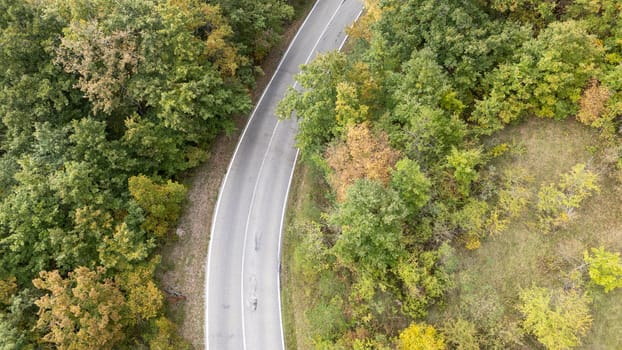 Aerial view of a winding road through a green autumn forest, showcasing lush foliage and vibrant colors. Enjoy the serene wilderness journey.