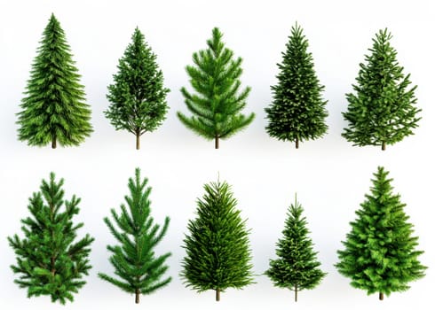 Collection set of festive pine tree Christmas on a white isolated background --ar 3:2 --v 6.1 Job ID: 24ead400-d392-410e-8d2f-7e330ec002b0