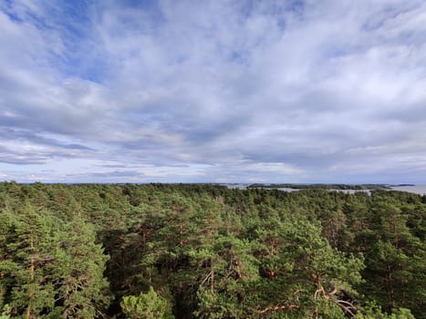 Panorama of the Gulf of Finland and the Islands. Northern nature. Finnish nature, Baltic Sea, view from the height, pine forest and cloudy sky