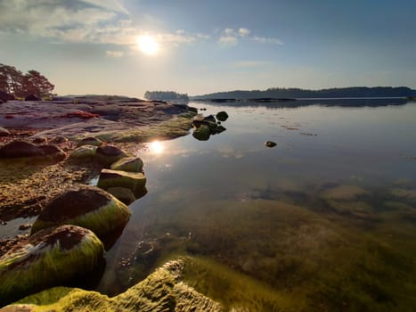 The coast of the Gulf of Finland in wonderful summer sunset