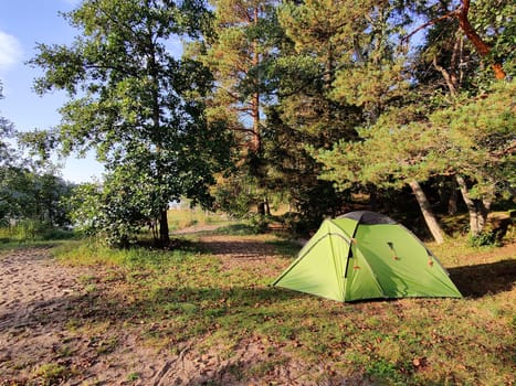 Tent under the pine trees with beautiful summer sunlight. Finnish nature in summertime, vacations in Nordic country