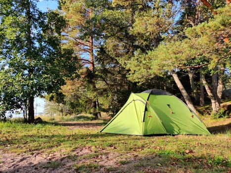 Tent under the pine trees with beautiful summer sunlight. Finnish nature in summertime, vacations in Nordic country