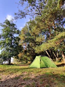 Tent under the pine trees with beautiful summer sunlight. Finnish nature in summertime, vacations in Nordic country