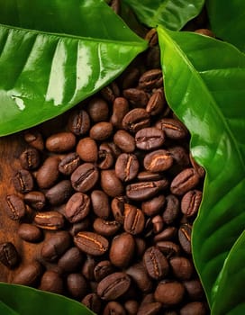 Coffee Bean Harmony.A captivating image of coffee beans, rich and dark, with vibrant green leaves nestled amidst them. The contrast between the dark beans and the bright leaves creates a visually striking composition, symbolizing the perfect balance of nature and cultivation. The image evokes a sense of warmth, comfort, and the rich aroma of freshly brewed coffee.