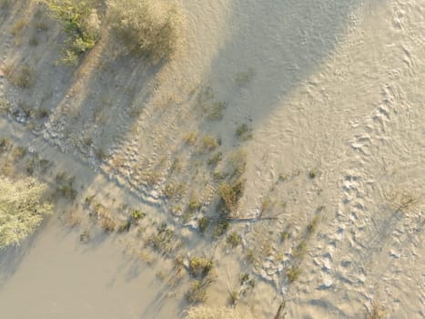Aerial view of muddy water flowing over the Po riverbanks covering the surrounding land, with a few trees and bushes struggling to survive after heavy fall rainfalls