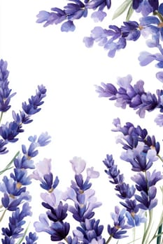 Flowers painted with purple watercolor on white background. High quality photo