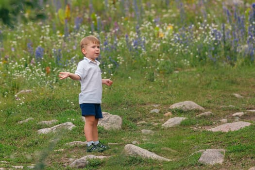 A cheerful young boy stands joyfully in a bright and colorful meadow, enjoying nature and exploring all around him