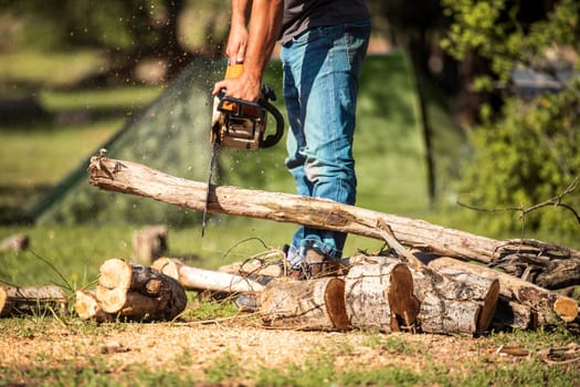 Man sawing dry logs outdoors against the backdrop of a tent for overnight stay at a campsite.