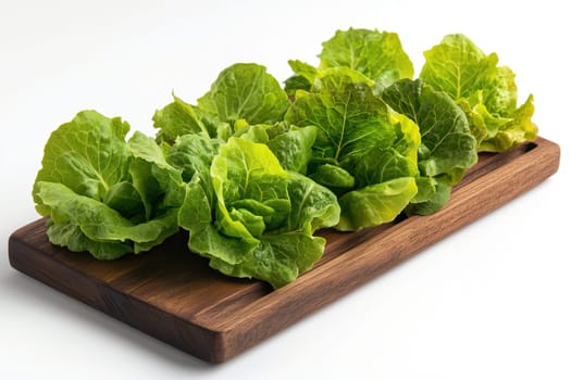Crisp, vibrant green lettuce sits neatly arranged on a wooden platter, emphasizing freshness and ready for use in various dishes. The clean aesthetic highlights its appeal.