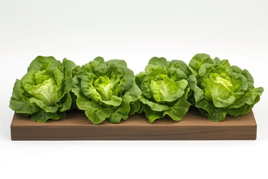 Four vibrant heads of lettuce are neatly arranged on a wooden board, showcasing their crisp, green leaves. The background is clean and bright, highlighting the freshness of the produce.