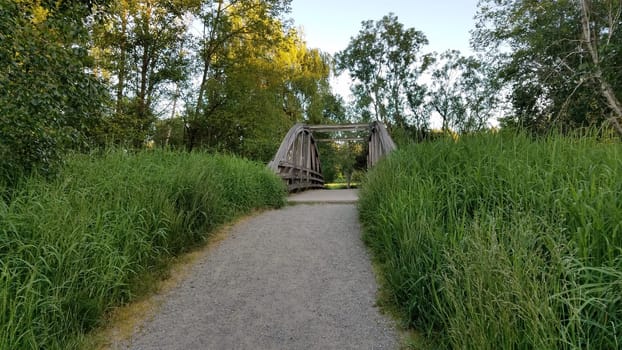 Path and Wooden Pedestrian Bridge near Seattle, Washington, Pacific Northwest. High quality photo