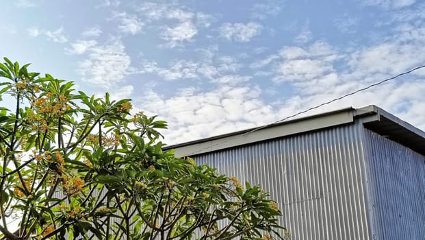 A warehouse and a tree under the blue sky. The warehouse placed beside a tree. The warehouse and the tree shined by the sun.