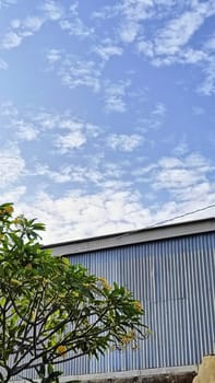 A warehouse and a tree under the blue sky. The warehouse placed beside a tree. The warehouse and the tree shined by the sun.