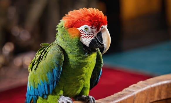 A green and red macaw with a bright red head and blue feathers on its wings perches on a wooden surface.