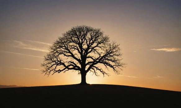 A large, bare-branched tree stands alone in a field, its silhouette outlined against the bright orange and yellow hues of a setting sun