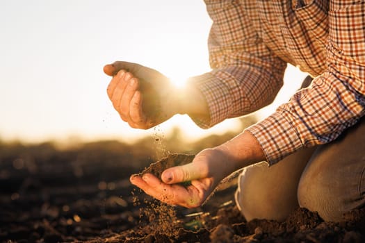 Agriculture. Soil is land in the hands of the farmer. Land plot close-up of hands of farmer mud peat. Garden nature. Ecology of fertile soil. The farmer works in the field. Environment in