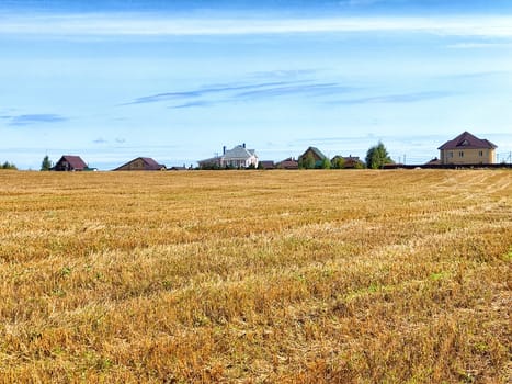 A vast golden field stretches under a clear blue sky, with scattered houses visible in the distance amidst a tranquil countryside.