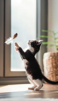 A black and white kitten energetically leaps to catch a feather toy against a bright, modern interior backdrop. the scene captures youthful exuberance and is perfect for pet-themed designs or playful decor.