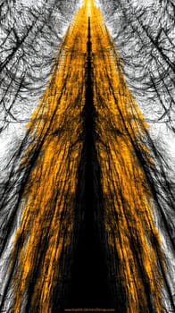 Step into an enchanting forest with golden trunks and black branches creating a symmetrical path towards the light, filled with contrast and beauty, inspiring and captivating