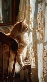 A fluffy persian cat sits gracefully on a vintage wooden chair, basking in the warm sunlight filtering through lace curtains, casting delicate shadows on its fur. the scene exudes elegance and nostalgia.