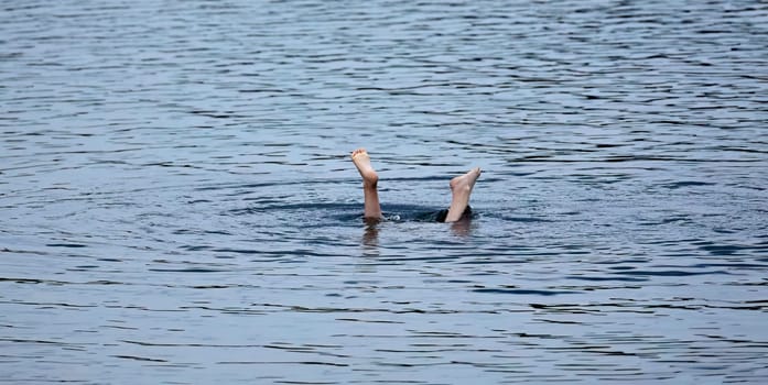 A pair of legs emerge from the water, creating ripples as they break the surface. The sunlight bathes the scene in a warm glow.