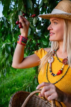 A close-up of a farmer in a mustard dress holding ripe cherries near low-hanging branches full of fruit. With a woven basket on her arm, she smiles under the sunny sky.