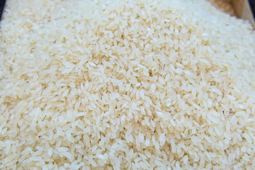 healthy ingredient background rice raw cereal food agriculture grain asian organic uncooked