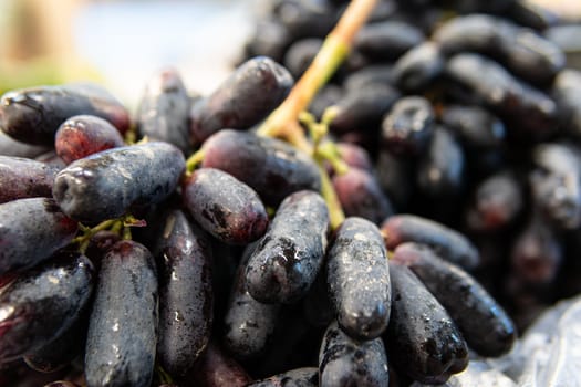 closeup fresh market wine food natural purple healthy fruit black summer agriculture sweet