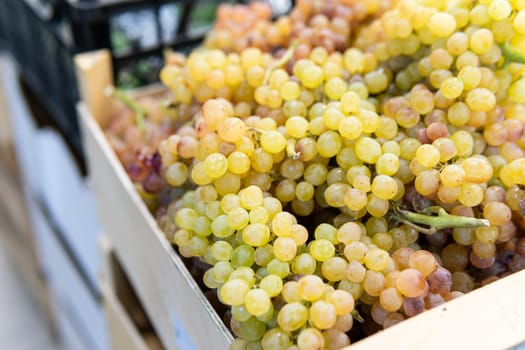 fresh market healthy organic fruit juicy nature agriculture green food harvest grape nutrition