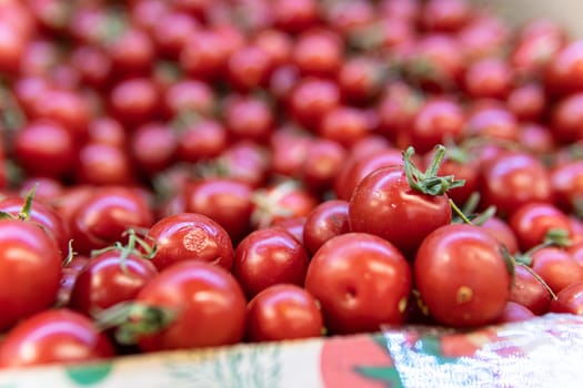 vegetable juicy tomato organic fresh closeup ripe agriculture freshness food red ingredient raw