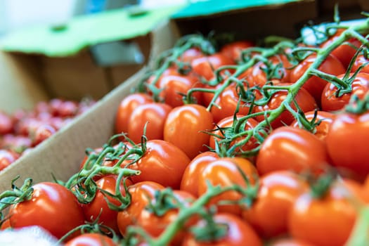 fresh nature vegetarian tomato agriculture juicy market red raw produce organic vegetable food